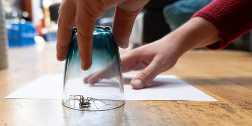 A person is holding a glass on top of a piece of paper.