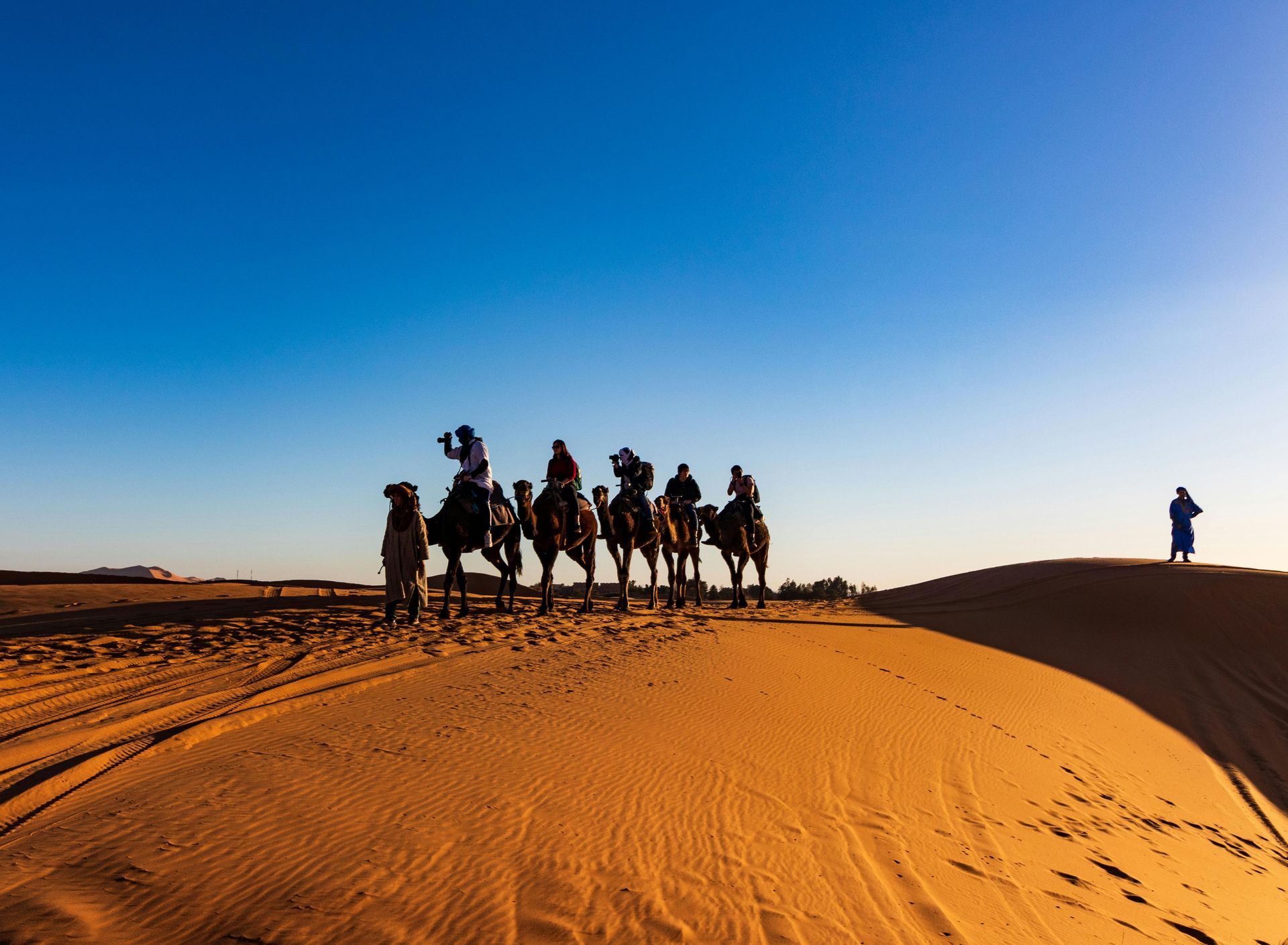 People ride camels across a sand dune under a bright blue sky.