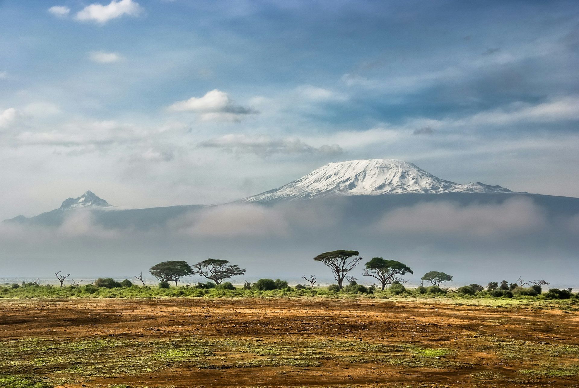 Snow-capped mountain rising above clouds and savanna trees; sunny sky.
