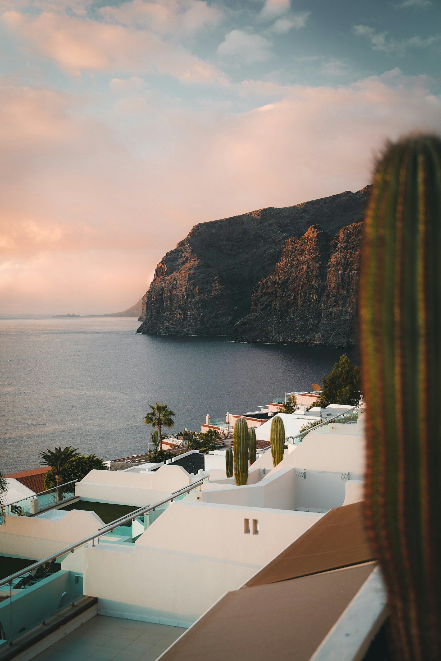 Ocean view from white rooftops, a large cactus in foreground, and cliffs in background with a sunset sky.