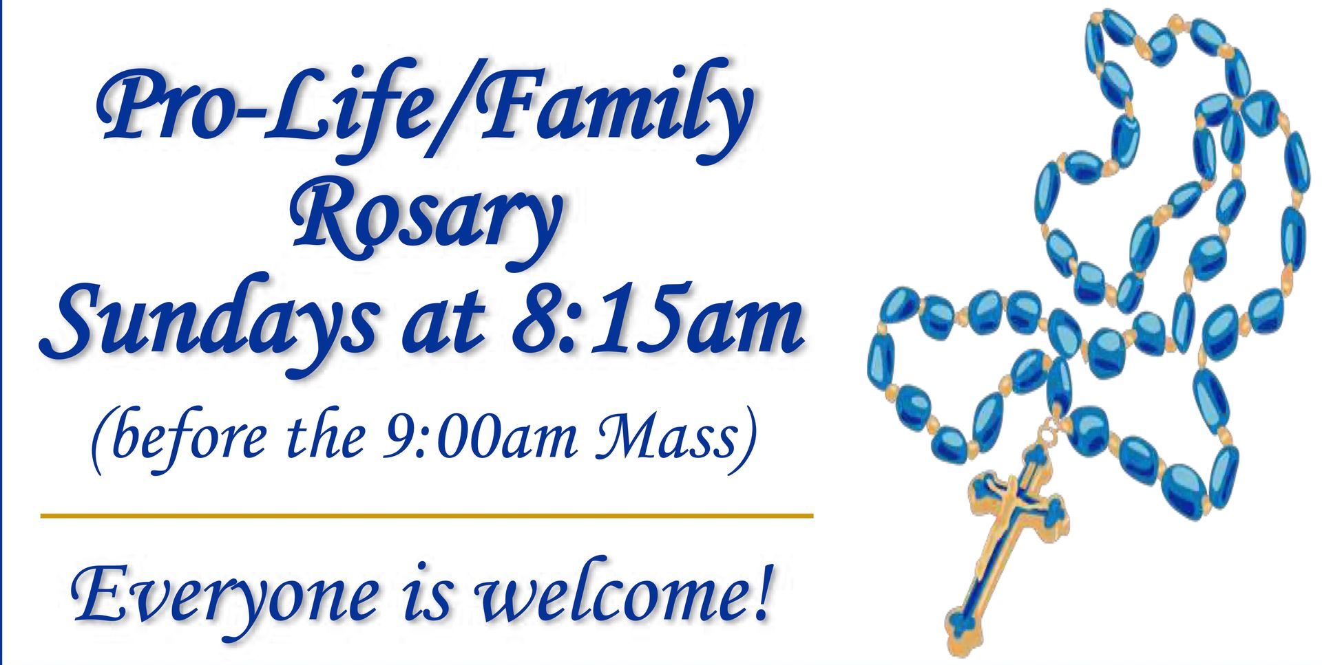 Pro-life/Family Rosary on Sundays at 8:15am, everyone is welcome