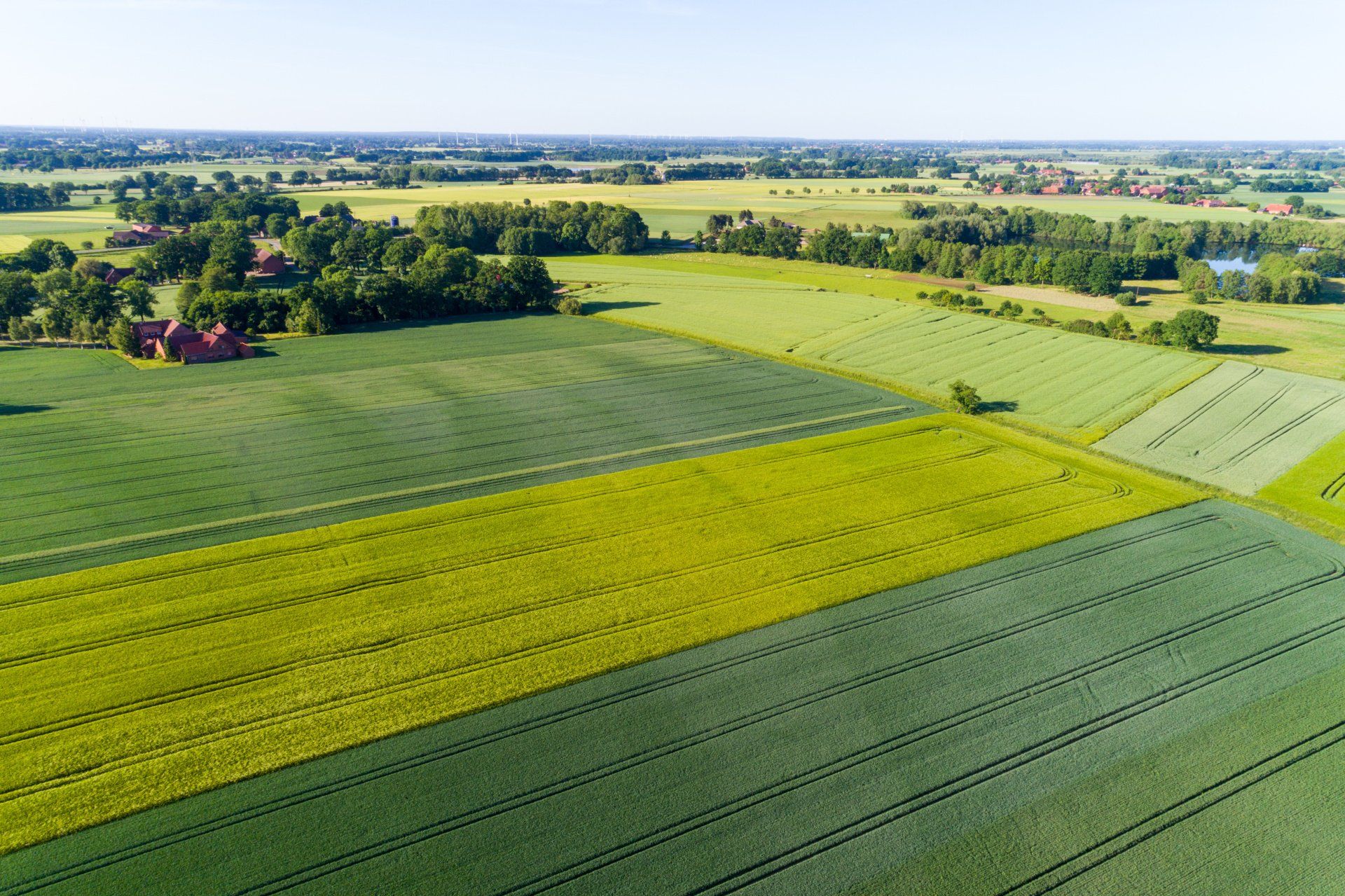 An aerial view of a green and yellow field with trees in the background.