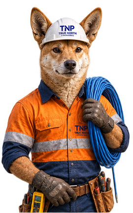 Construction-worker fox in orange safety gear holding a coiled blue cable