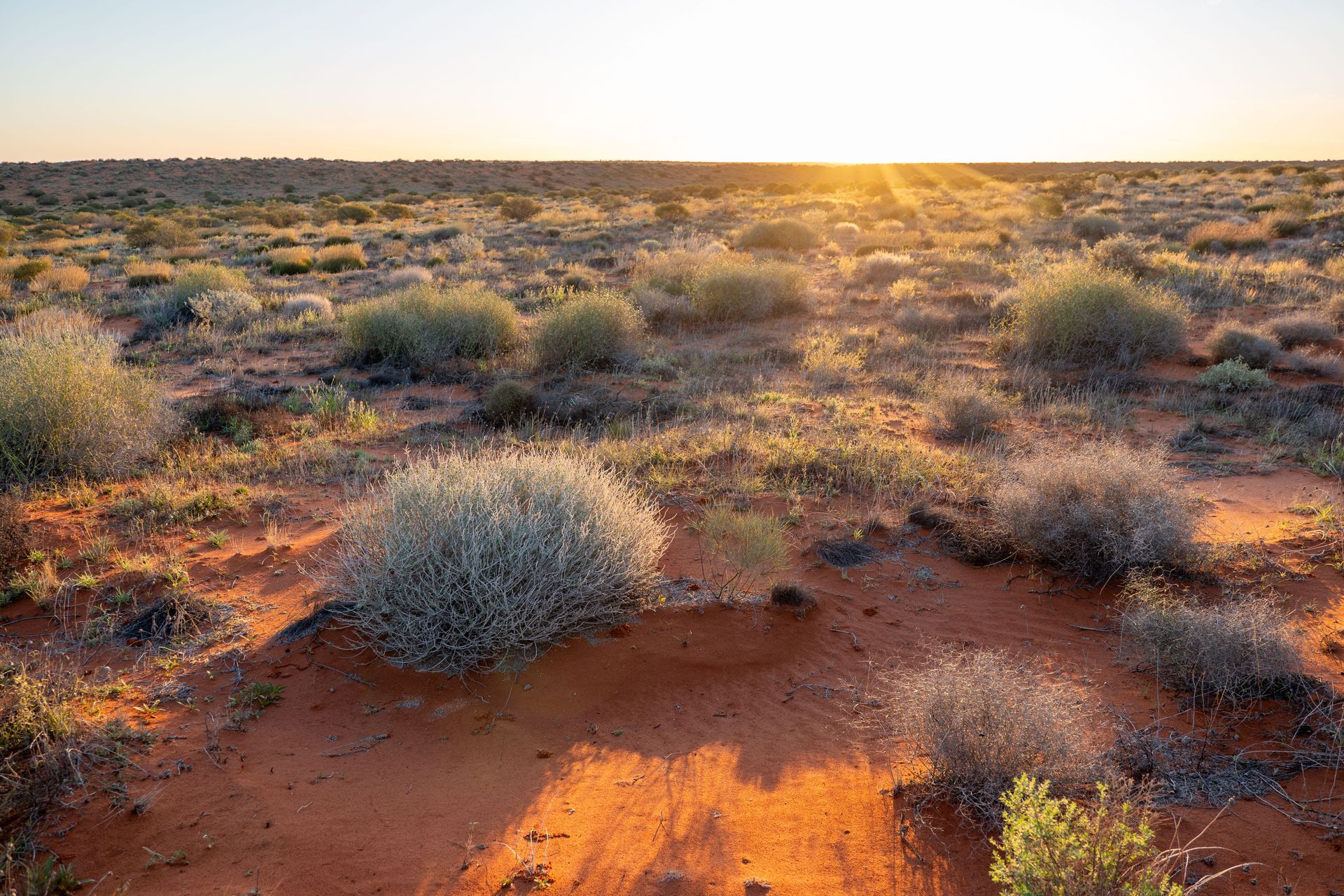Sunset over a dry scrubland with red soil and low bushes