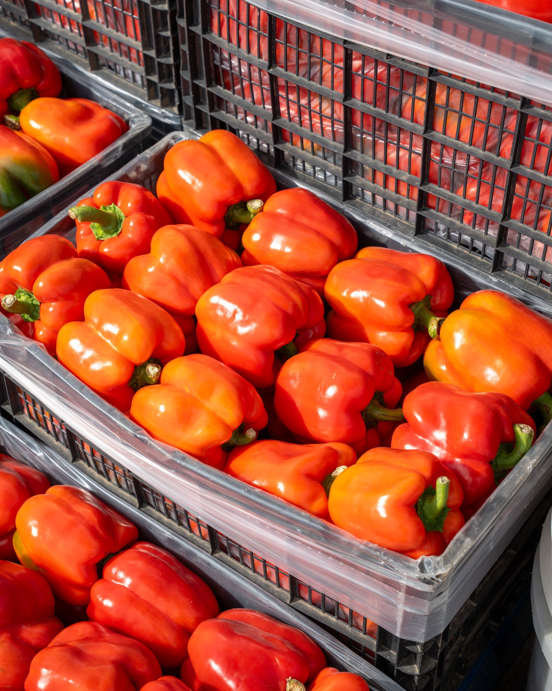 A row of wooden baskets filled with different colored peppers