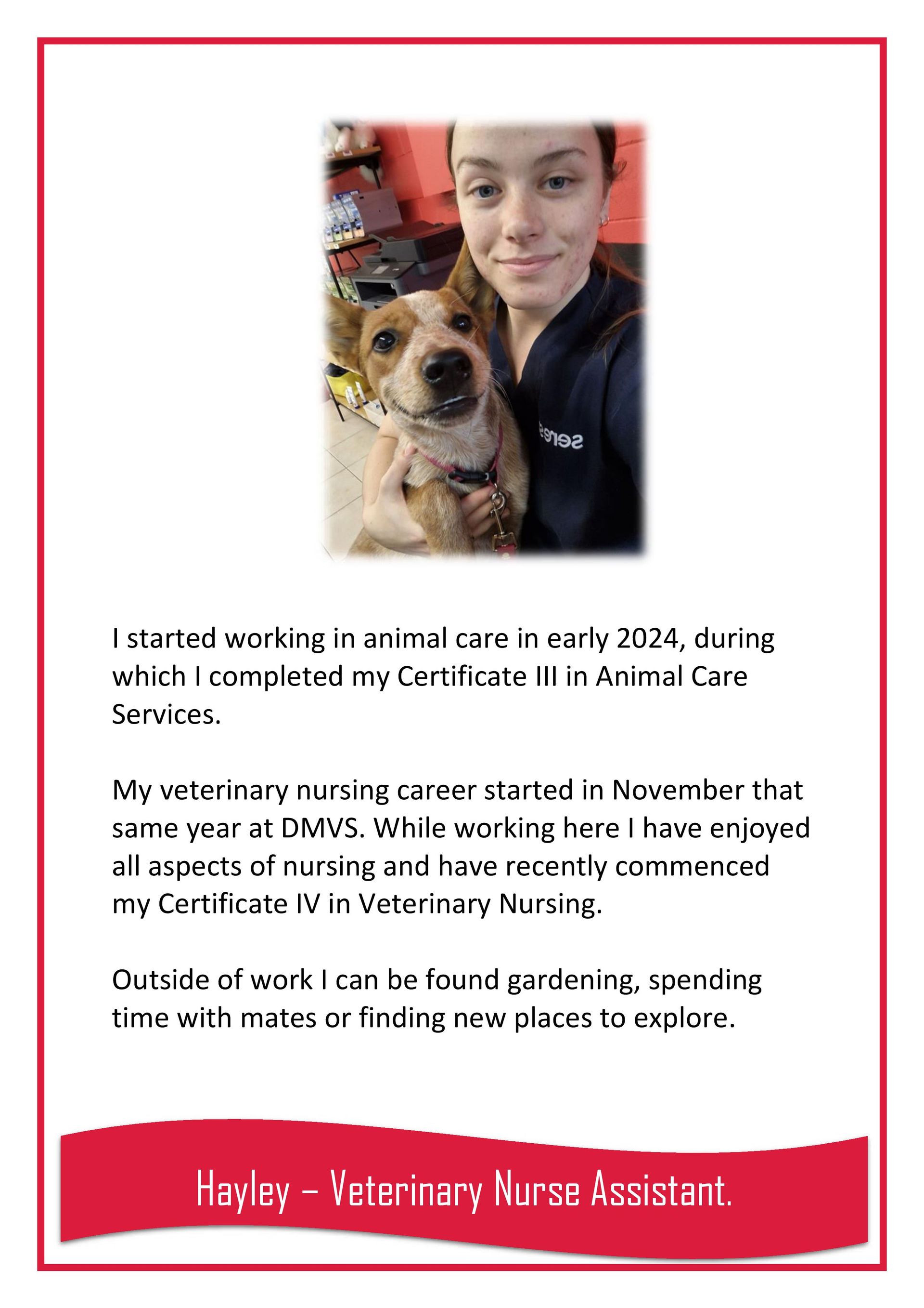 Hayley — Darwin My Vet Service in Wulagi, NT