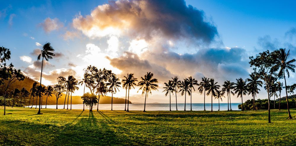 A Row Of Palm Trees On A Tropical Beach At Sunset — Glenn Merrick Constructions In The Whitsundays, QLD