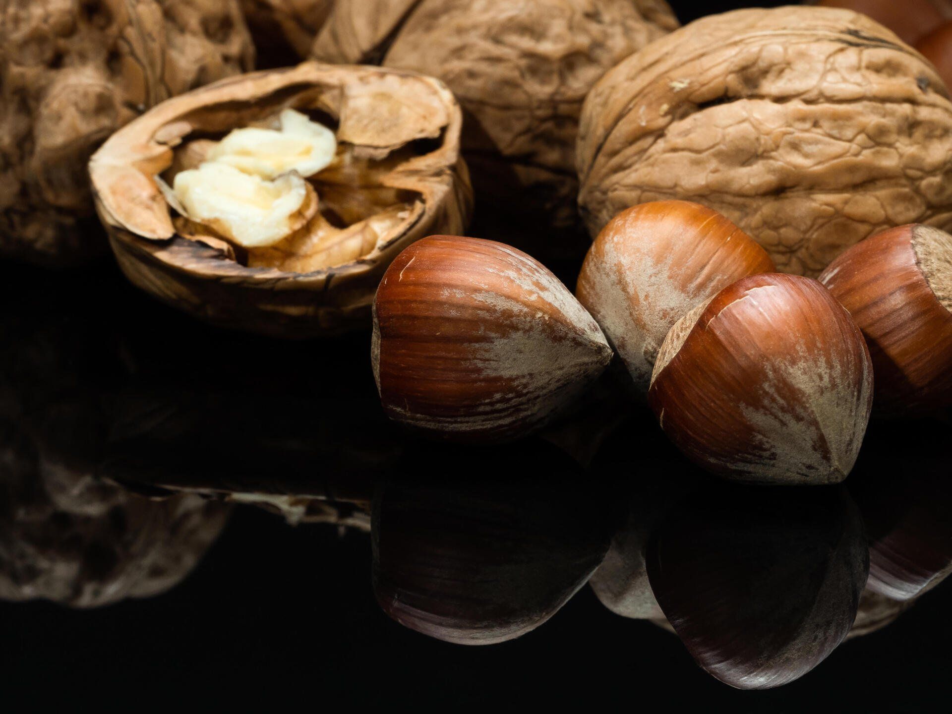 noix et noisettes