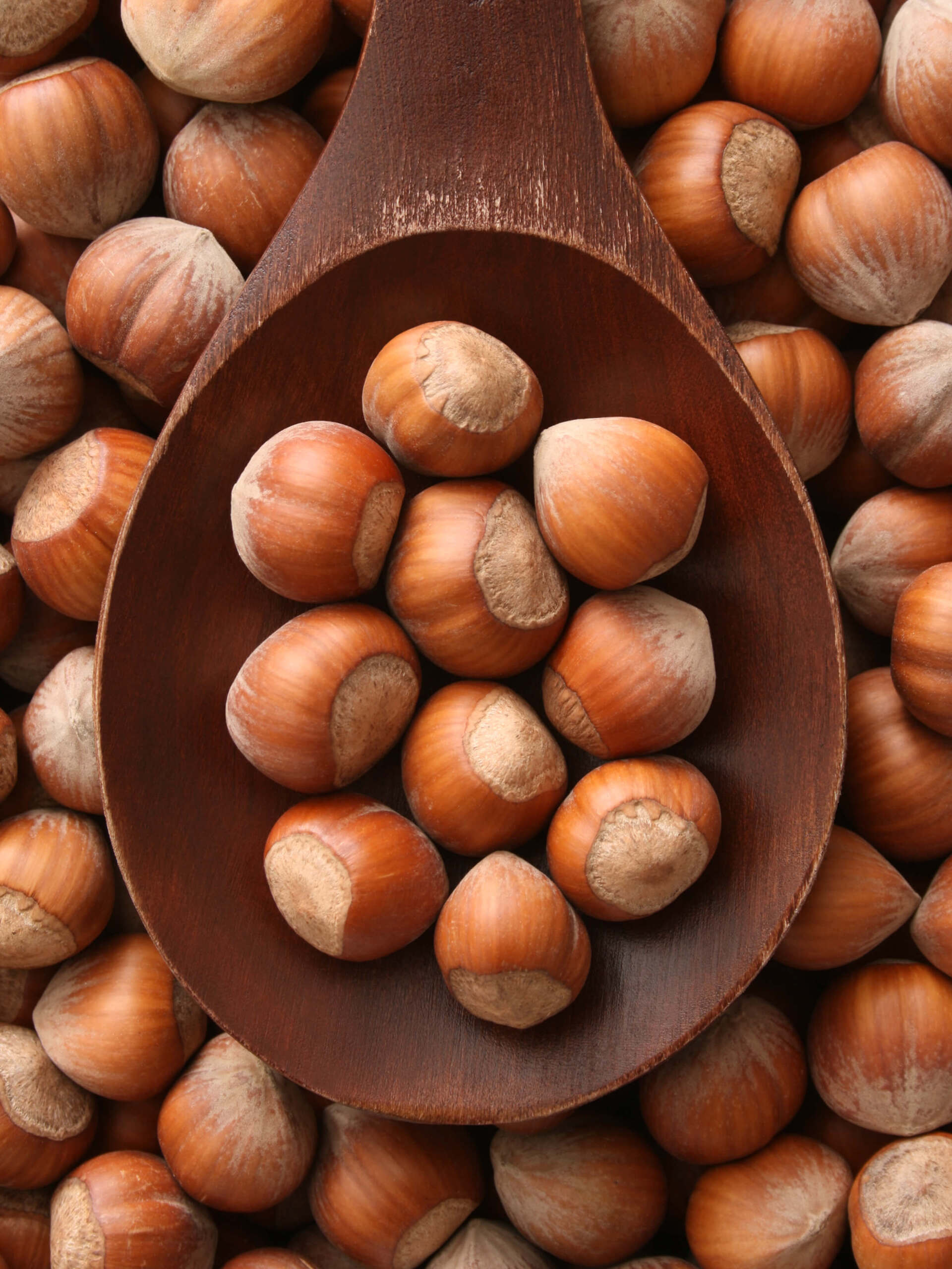noisettes siciliennes