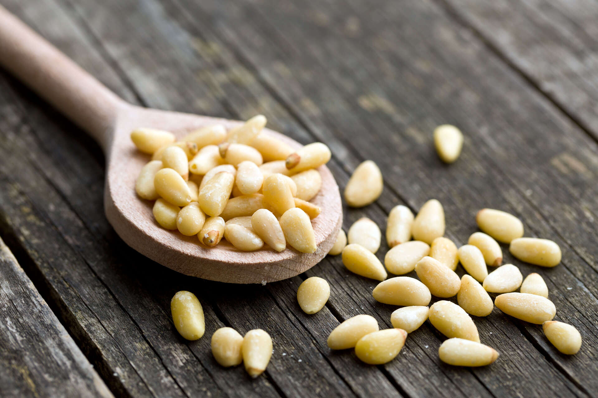 pignons de pin siciliens
