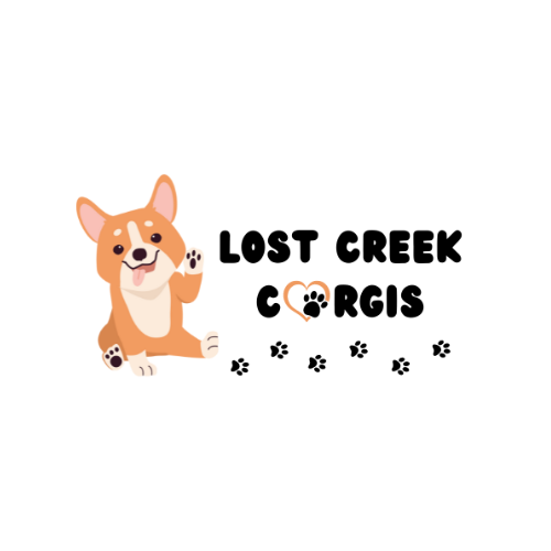 custom logo design lost creek corgis