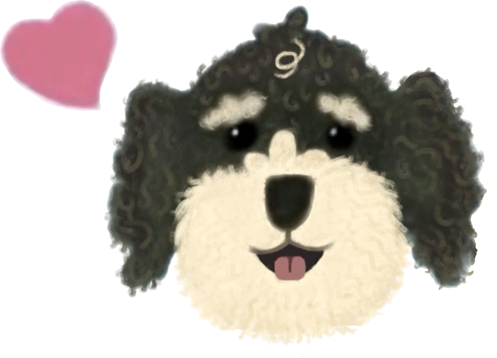 A Black and White Dog With a Swirl on Its Head