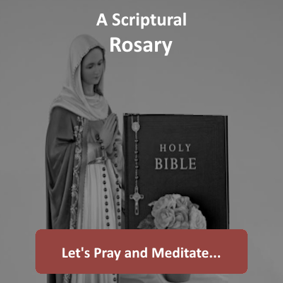 August is a wonderful time to
reconnect to the Rosary. Try it again while
walking in nature