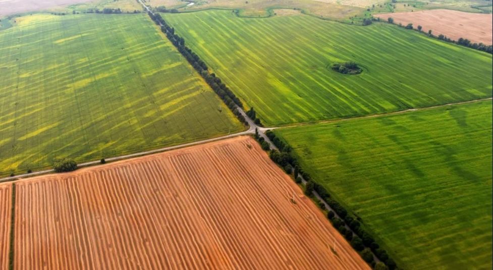 Aerial view of patchwork farmland with green and orange fields divided by a straight road