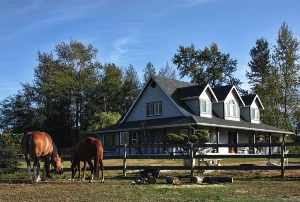 Two horses grazing in a fenced pasture beside a gray farmhouse under a blue sky