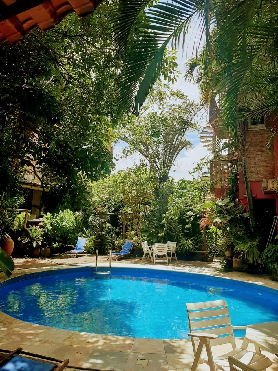 Uma grande piscina rodeada de árvores e cadeiras-Pousada-Pilar