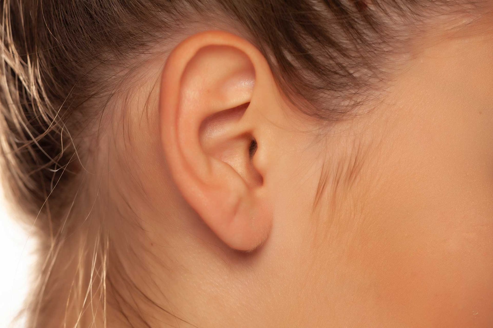 Close-up of a person's ear and side of face with brown hair pulled back Close-up of a person's ear and side of face with brown hair pulled back