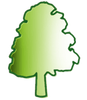 icona logo 