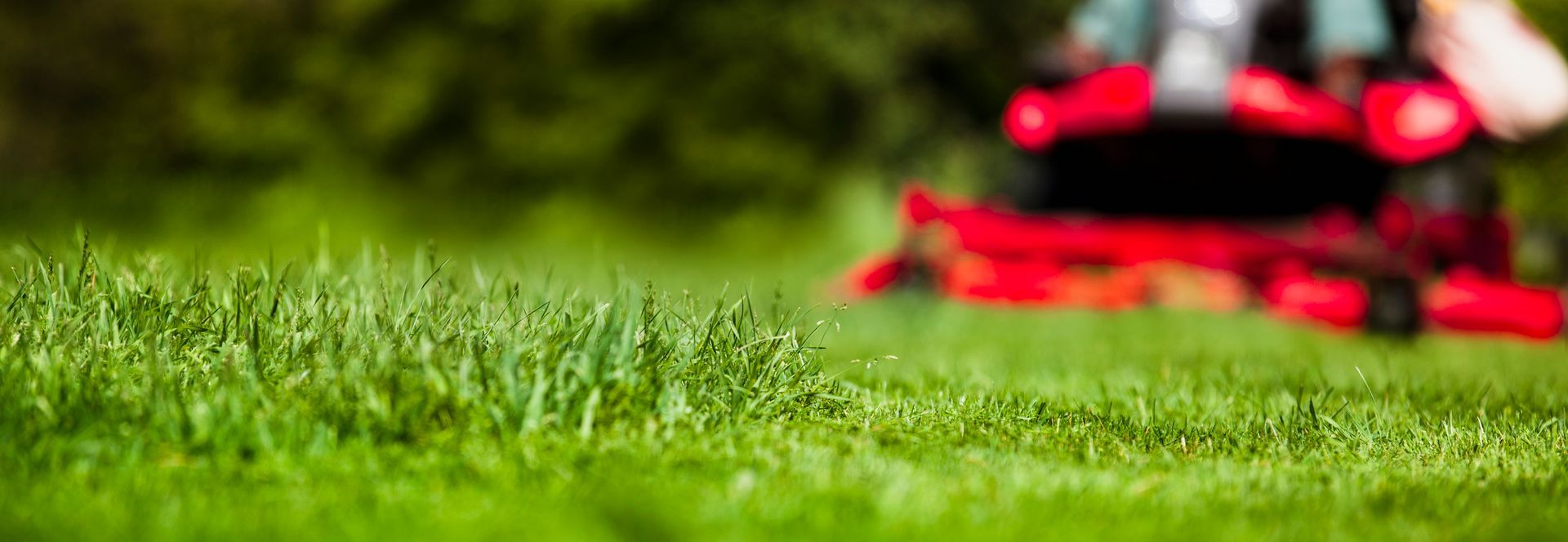 SERVIZI DI GIARDINAGGIO