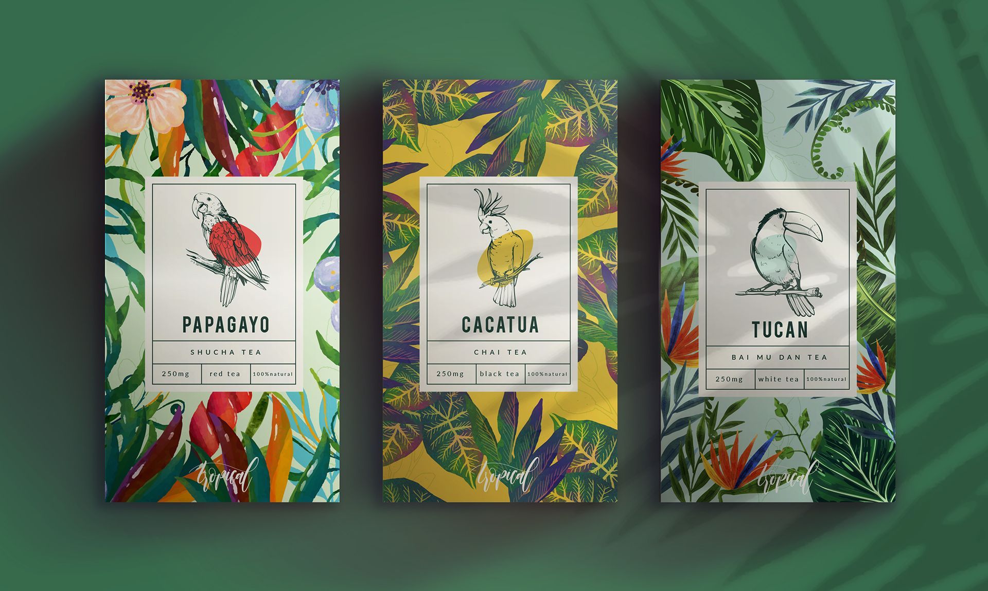 visuel page packagings site Studio com&leon