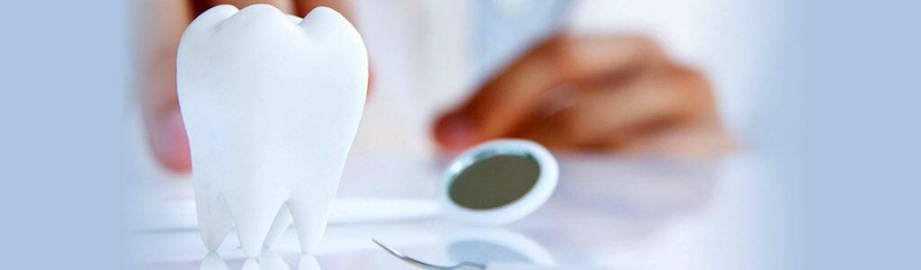 Kid´s Dental Care 