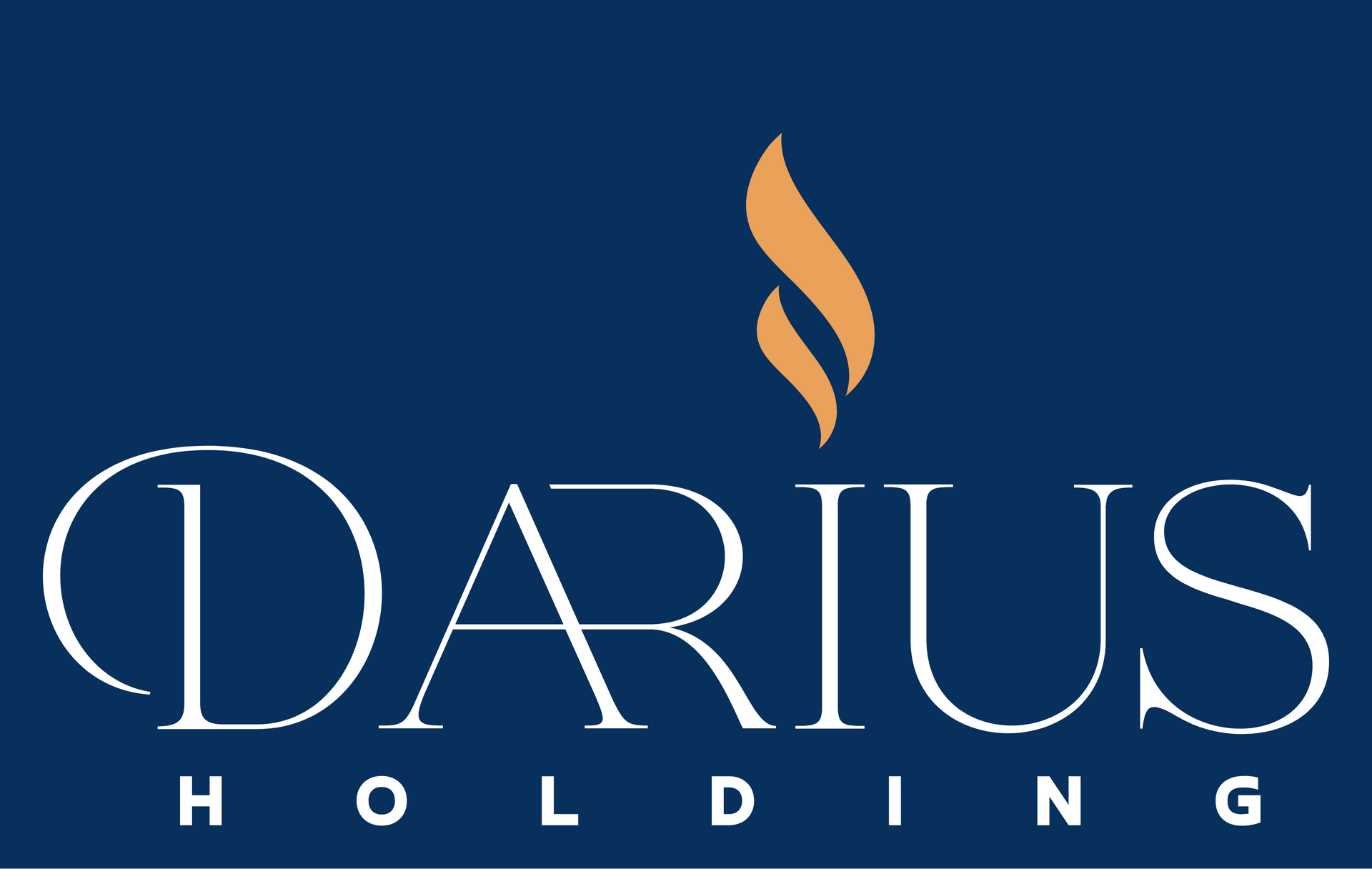 DARIUS HOLDING logo with white text on dark blue background and stylized flame icon in gold.