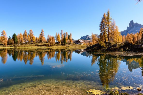 Golden trees reflect in a calm blue lake, with mountains and a building under a clear sky.
