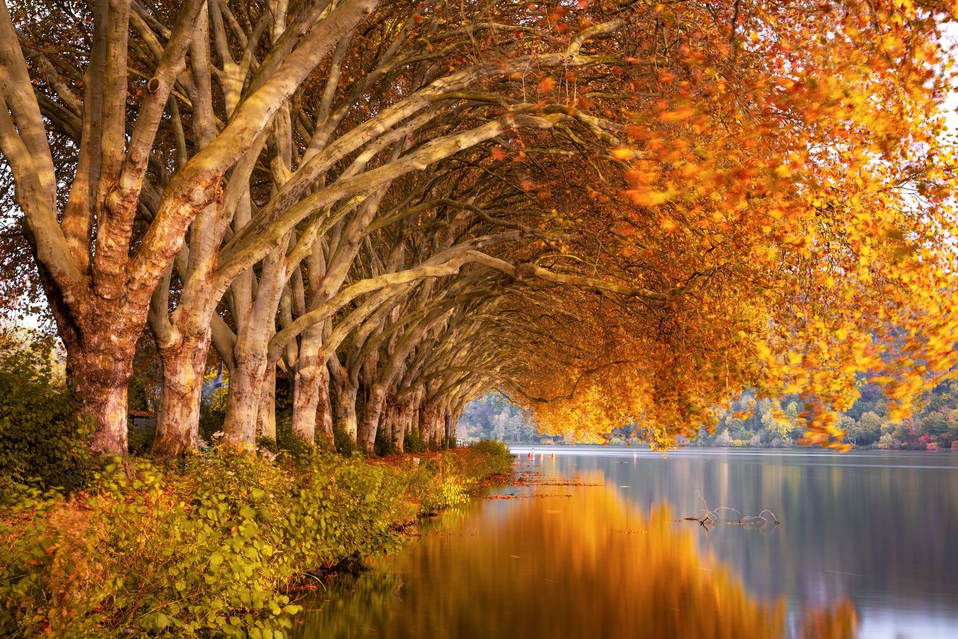 Obituaries in Malvern, AR | Samuel L. Vance & Sons Funeral Directors