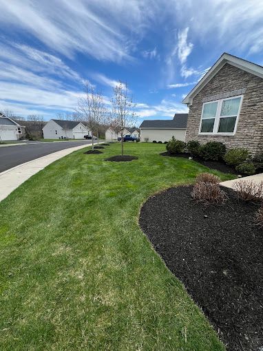 A lush green lawn in front of a brick house in a residential neighborhood.