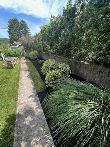 A sidewalk leading to a lush green garden surrounded by trees and bushes.