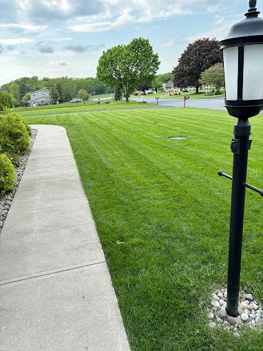 A sidewalk leading to a lush green lawn next to a lamp post.