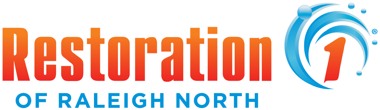 R1 logo