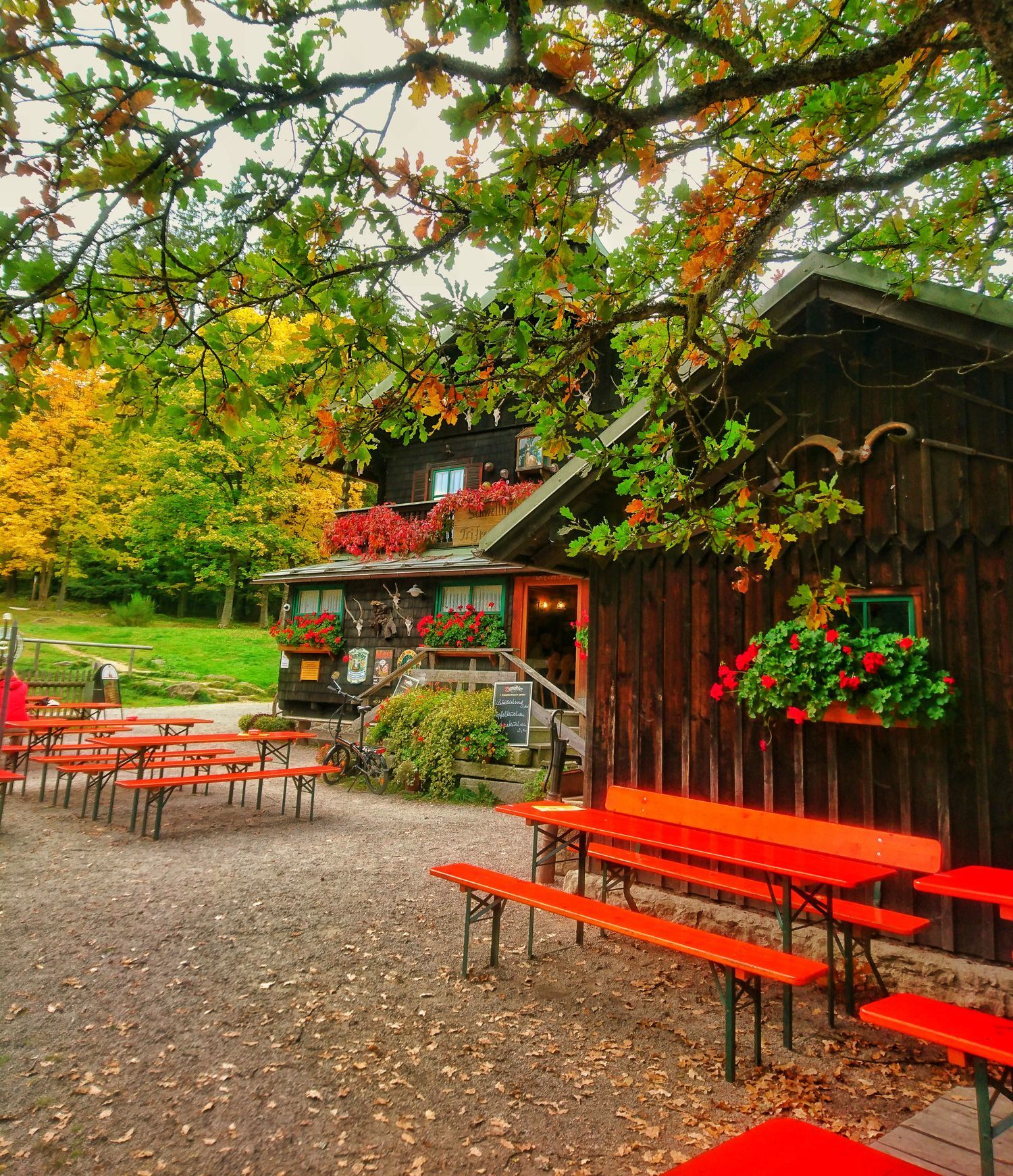 Gemütliche Einkehr im Gasthaus 