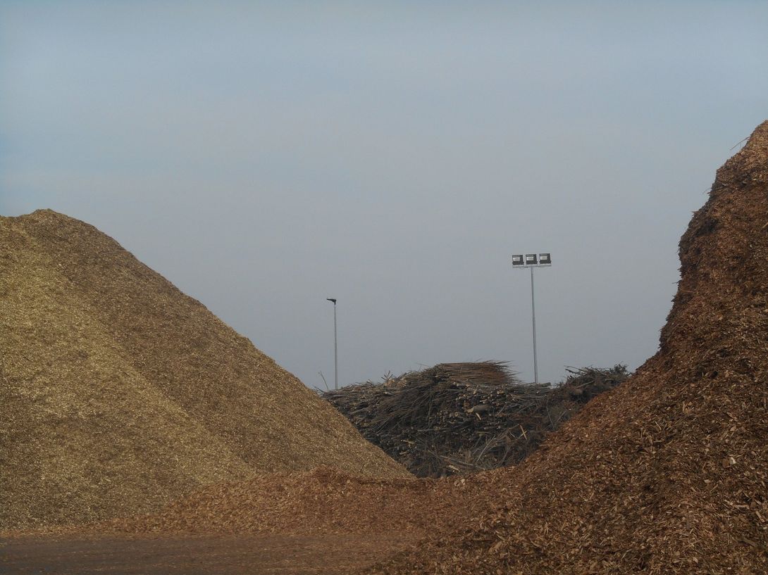 SRF/MRF cultivation