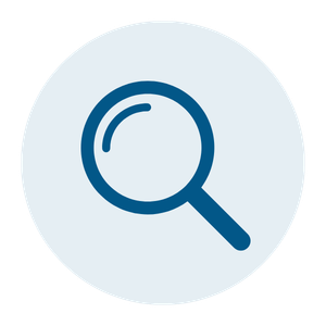 Business Analysis Icon