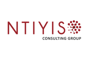 Ntiyiso Consulting Logo