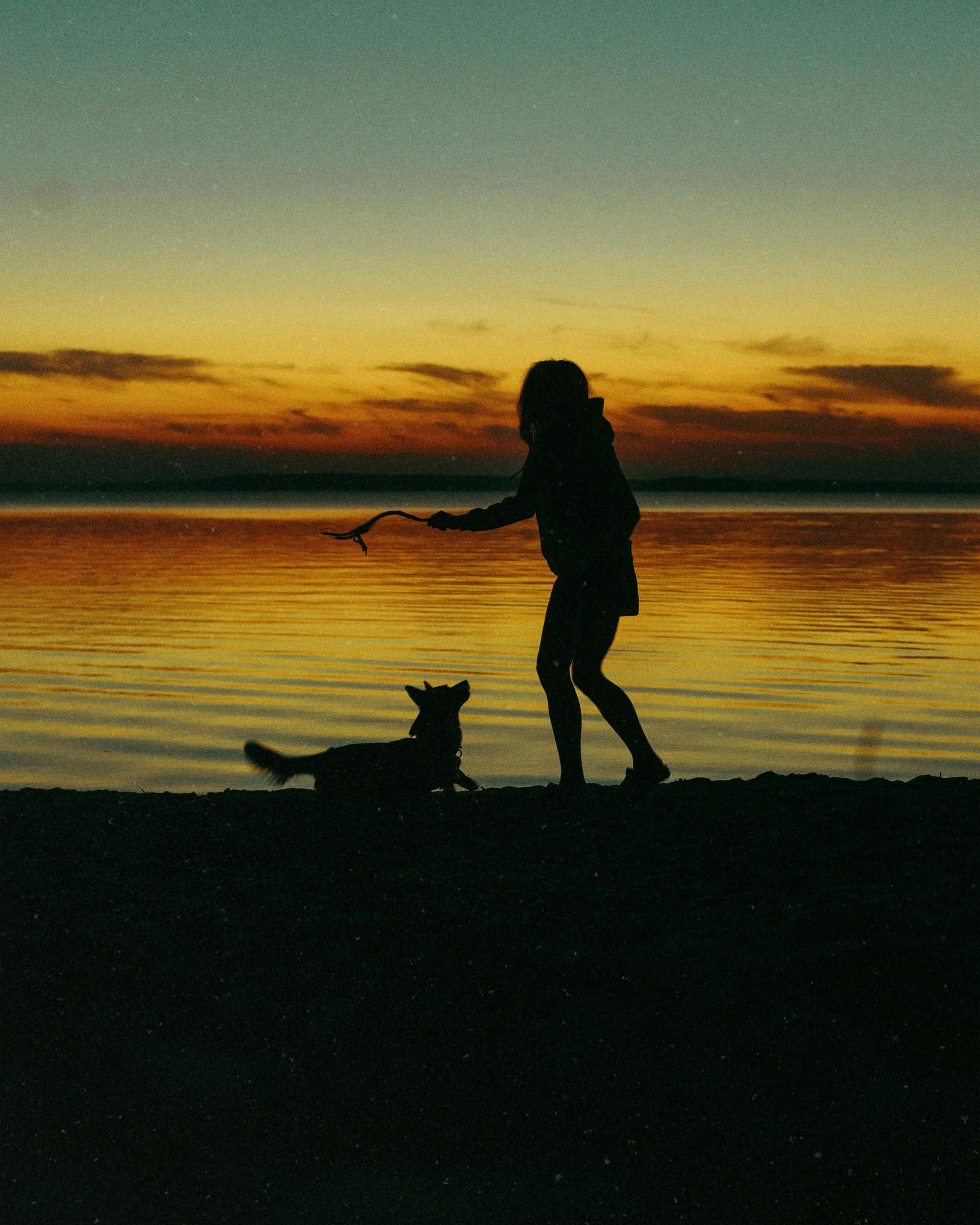Sagoma di persona con cane sulla spiaggia