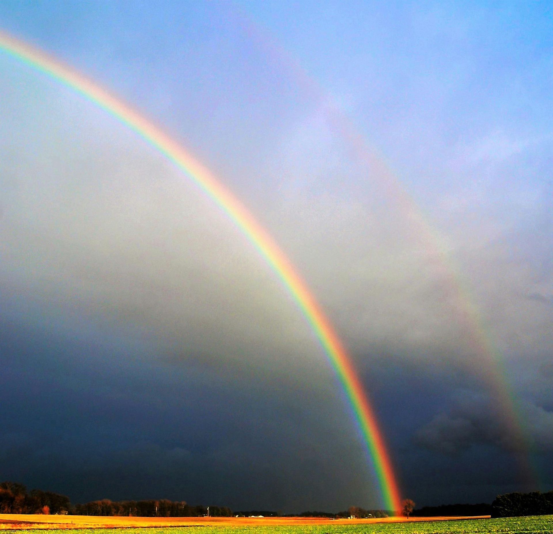 Doppio arcobaleno che si estende nel cielo azzurro sopra un campo erboso.