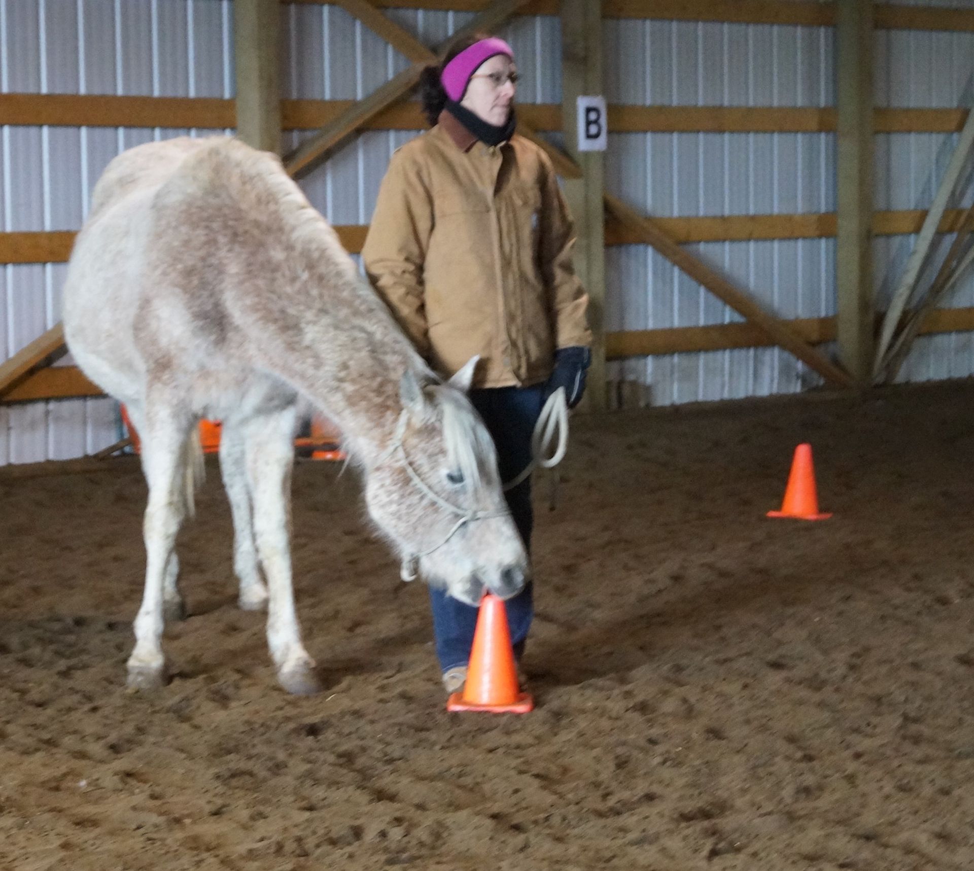 A woman standing next to a horse in a barn with the letter b on the wall