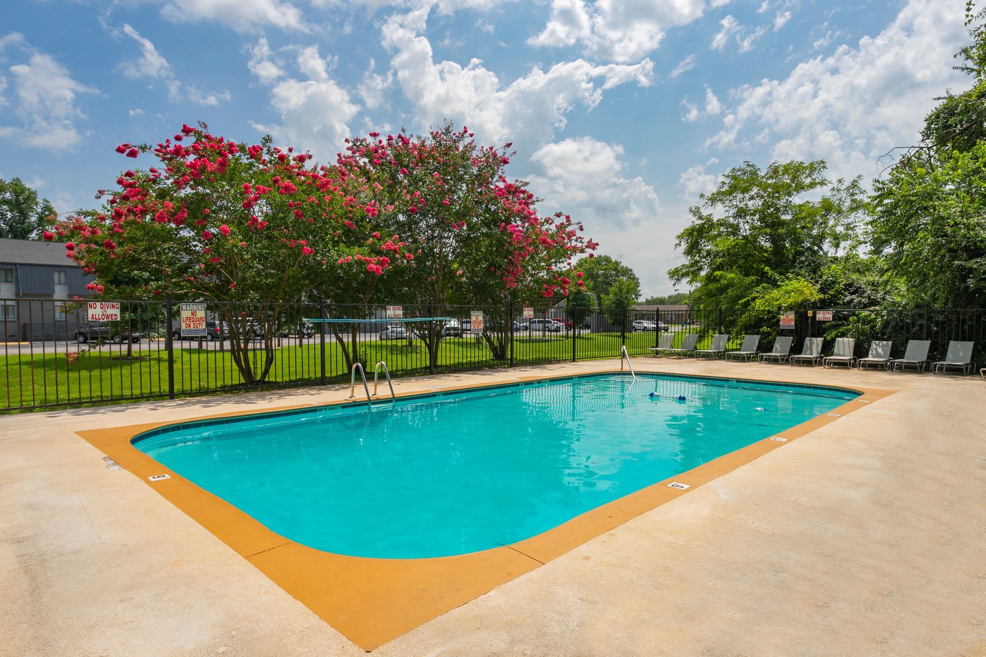An outdoor swimming pool with bright blue water, surrounded by concrete, lounge chairs, and vibrant pink flowering trees.