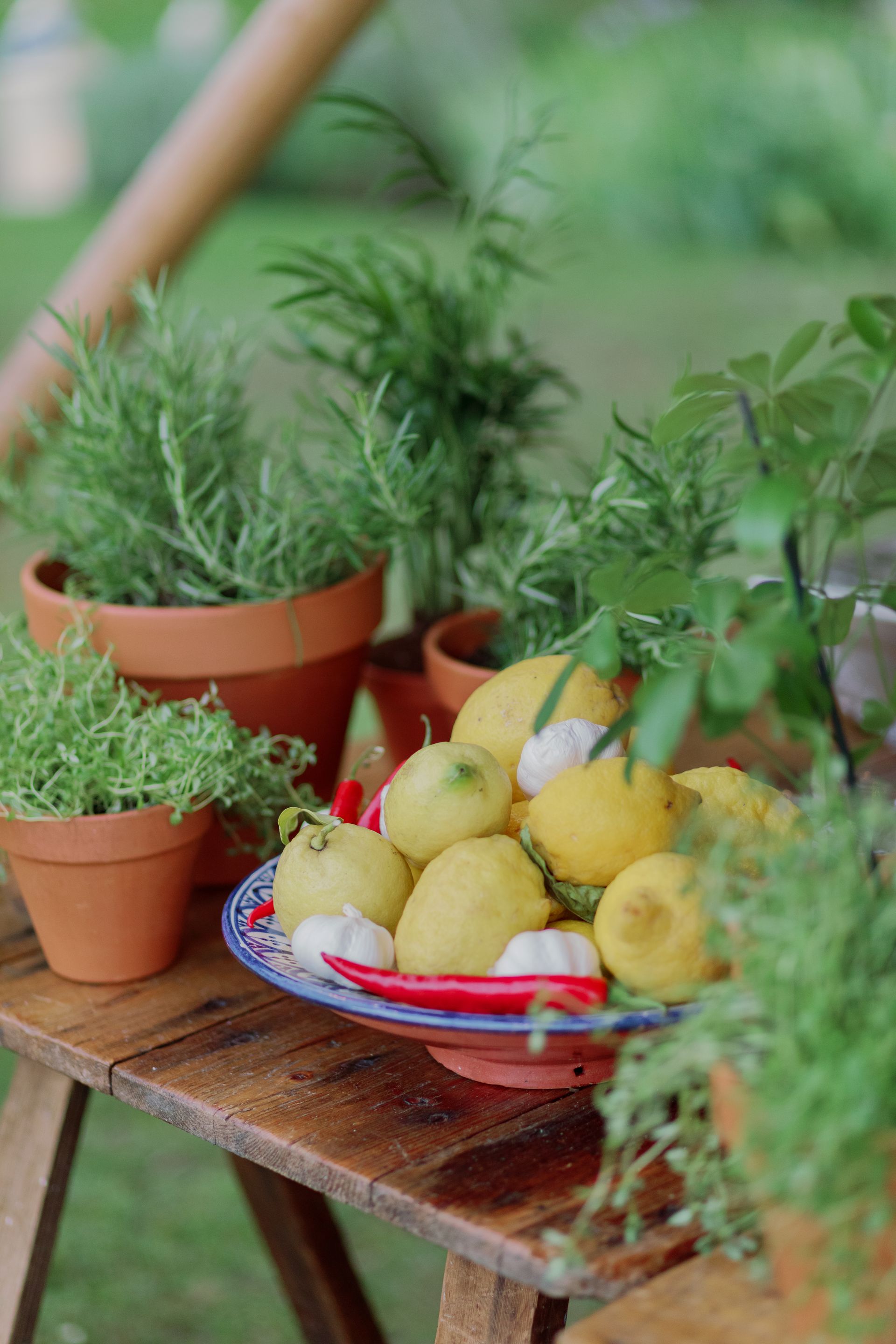 Fresh organic vegetables and fruit from local catering suppliers