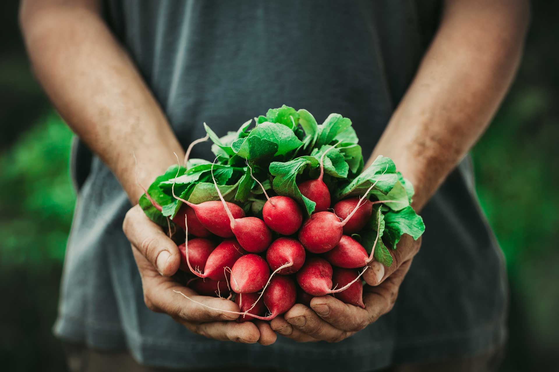 Veganuary