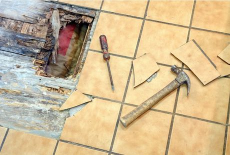 Picture of a hammer and screwdriver sitting on orange tile. Some of the tile has been removed exposing rotted subfloor requiring handyman service.