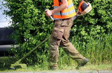 Out door maintenance picture of a handyman worker wearing a orange vest weed whacking a lawn.