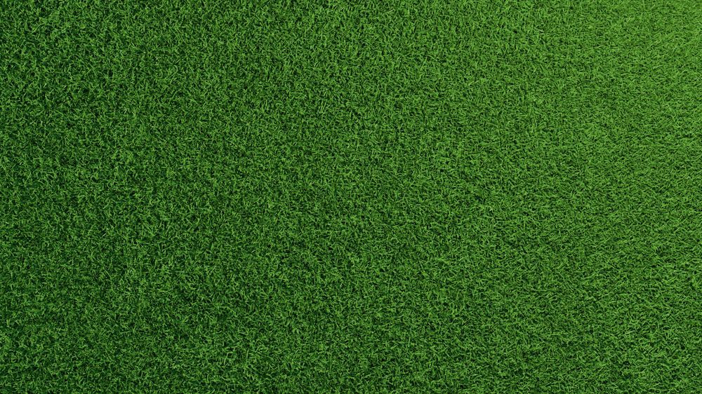 A Man is Raking Dirt on a Lush Green Field — Brendan's Landscaping and Fencing In Bundaberg, QLD