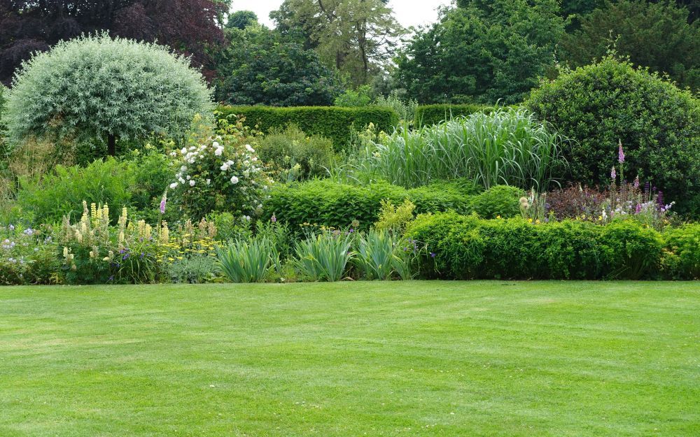 A Lush Green Lawn Surrounded by Trees — Brendan's Landscaping and Fencing In Bundaberg, QLD
