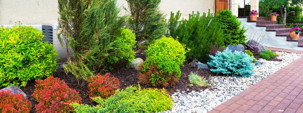 A Garden With Lots of Plants and Rocks in Front of a House — Brendan's Landscaping and Fencing In Bundaberg, QLD