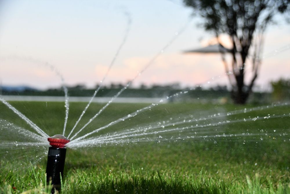A Sprinkler is Spraying Water on a Lush Green Lawn — Brendan's Landscaping and Fencing In Branyan, QLD