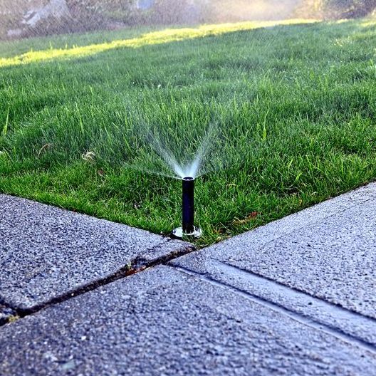A Sprinkler is Spraying Water on a Lush Green Lawn Next to a Sidewalk — Brendan's Landscaping and Fencing In Bundaberg, QLD
