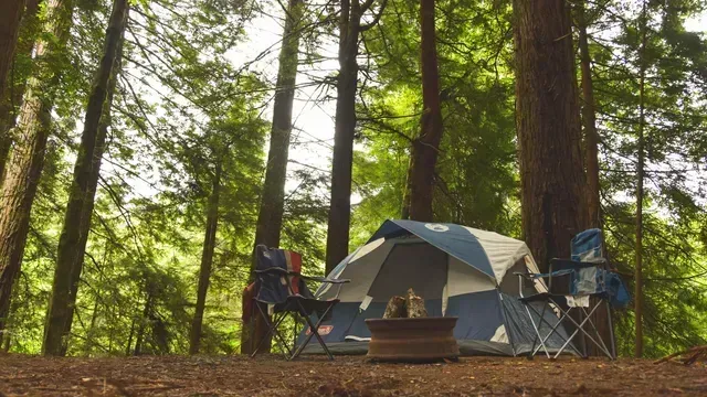 Campfire and tent at a forest campsite with folding chairs among tall trees.